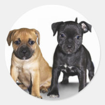 Staffordshire bull terrier puppies round sticker