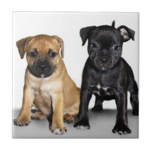 Staffordshire bull terrier puppies tiles