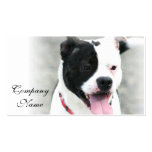 Staffordshire Terrier Business Cards