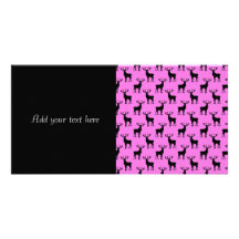 Stag Deer on Pink Picture Card