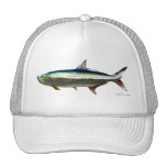 Stainless Tarpon by FishTs.com Trucker Hats