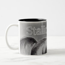 stallion mug