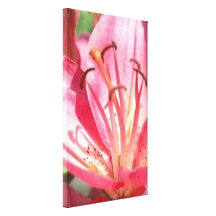 Stamens and Pistils... Gallery Wrap Canvas