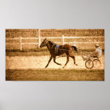 Standardbred Poster