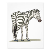 standing zebra graphic announcement