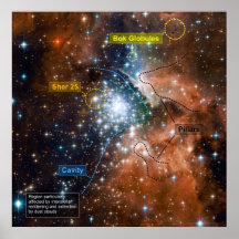 Star Cluster NGC 3603 with Annotations Posters