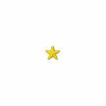 Star Embroidered Hooded Sweatshirt