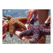 Star Fish Card