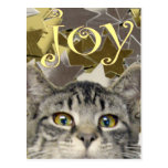 star kitten post card