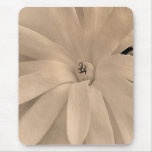 Star Magnolia Bloom Mouse Pad