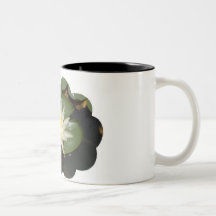 Star of the pond. coffee mug