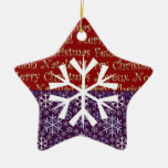 Star Ornament with Snowflake