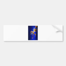 starfish bumper sticker
