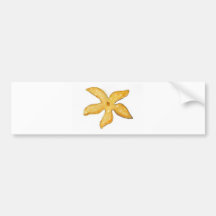 Starfish Bumper Stickers
