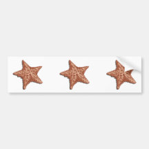 Starfish Bumper Stickers
