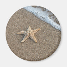 Starfish by the beach refrigerator magnet