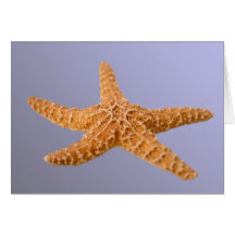 Starfish Cards