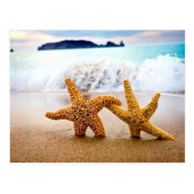 starfish couple postcard