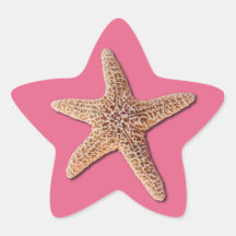 Starfish on pantone Honeysuckle 2011 Stickers