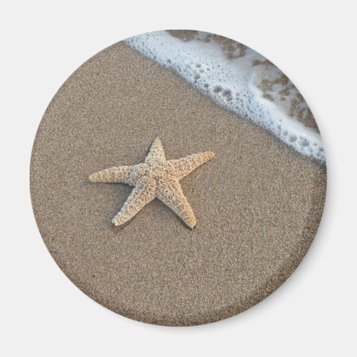 Starfish on the beach refrigerator magnets