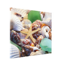 Starfish & Seashells Canvas Wrap Gallery Wrap Canvas