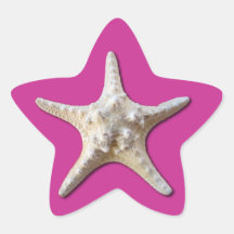 Starfish Sticker - Hot Pink