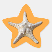 Starfish Sticker - Mango
