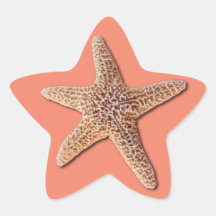 Starfish Sticker - Peach