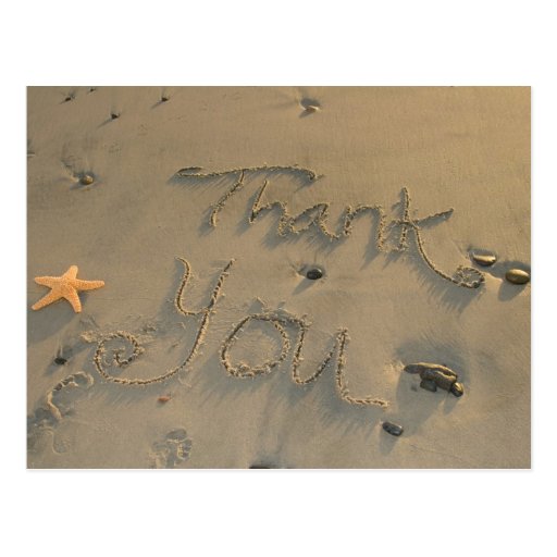 Starfish Thank You Postcard