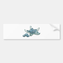 StarfishGlassSandDollars123111 Bumper Stickers