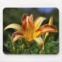 Stargazer Lily Mouse Mat