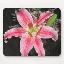 Stargazer Mouse Pads