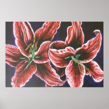stargazer posters