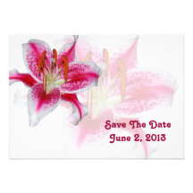 Stargazer Silhouette Save The Date Card Personalized Invitations