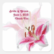 Stargazer Silhouette Thank You Stickers
