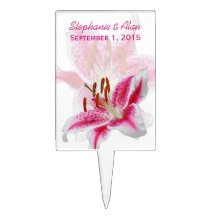 Stargazer Silhouette Wedding Cake Topper
