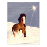 Starlight Run Postcards