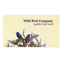 Starling Birds Custom Business Cards business cards