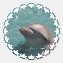 Starring a Dolphin Stickers