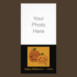 Starry Night Pumpkins Photo Card photo cards