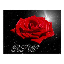 Starry Romantic Night Post Cards