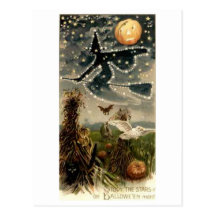 Starry Witch on Broomstick Post Card