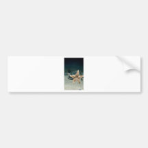 stars bumper sticker