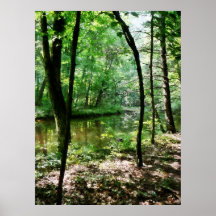 STARTING UNDER $20 - Shady Woods Posters