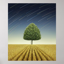 Startrail and Tree Print