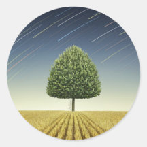 Startrail and Tree Round Sticker