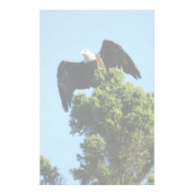 Stationery Eagle background