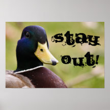 Stay Out Duck Poster