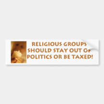 Stay Out Of Politics Bumper Stickers