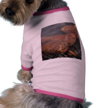 Steaks Grilling Barbecue Grills Meat Pet T-shirt